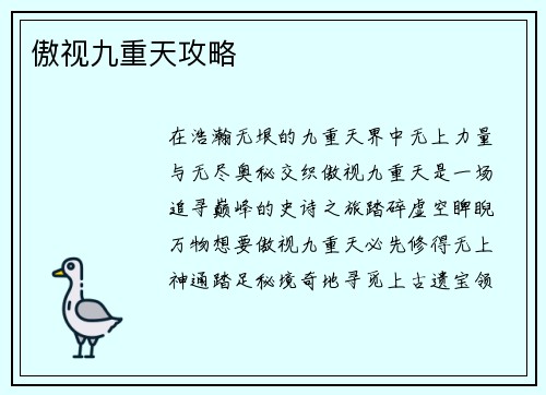 傲视九重天攻略